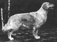 gobitensvart.jpg (12417 bytes)