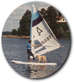 sail.jpg (18796 bytes)